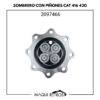 sombrero con piñones-2097466-cat 416 420.jpg 2097466 Sombrero Con Piñones CAT 416 420