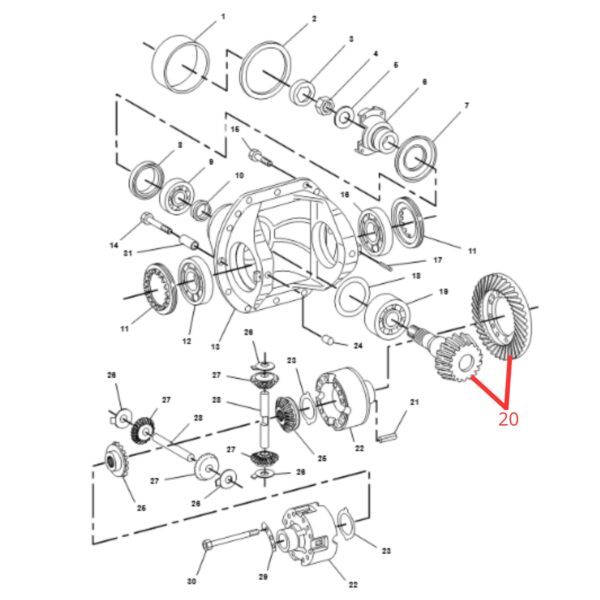 1075608 Speed y Corona 14*29 Delantera CAT serie C y D